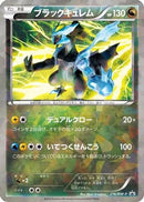 Black Kyurem - 216/BW-P (216/BW-P) - BWP Promotional cards