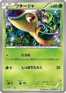 Snivy - 018/BW-P (018/BW-P) - BWP Promotional cards