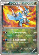 White Kyurem - 217/BW-P (217/BW-P) - BWP Promotional cards