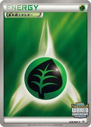 Basic Grass Energy - 028/BW-P (028/BW-P) - BWP Promotional cards