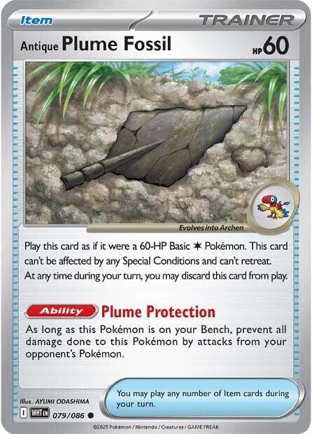 Antique Plume Fossil [081/086]
