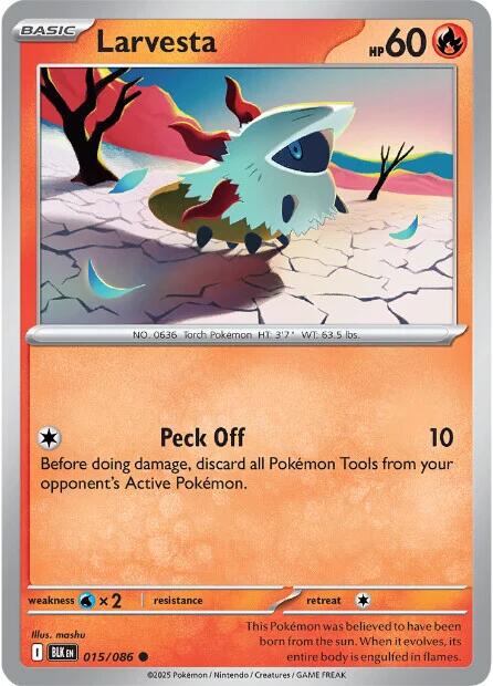 Larvesta [BLK - 015/086]
