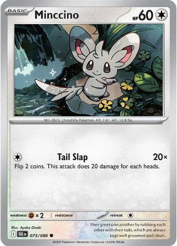 Minccino [BLK - 075/086]