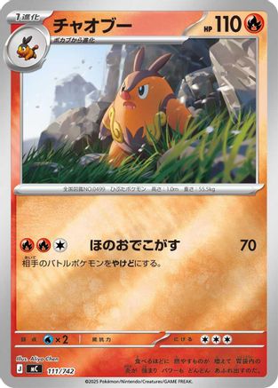 Pignite - 111/742 (Mirror Holo) (111/742) - Start Deck 100 Battle Collection