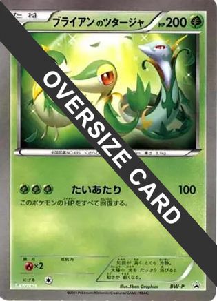 Snivy (Lawsons Original Customization Jumbo Card)  - BWP Promotional cards
