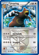 Ursaring (Team Plasma) 076/101  Plasma Blast - Uncommon