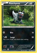 Poochyena 053  - Reverse Holofoil XY  Phantom Forces - Common
