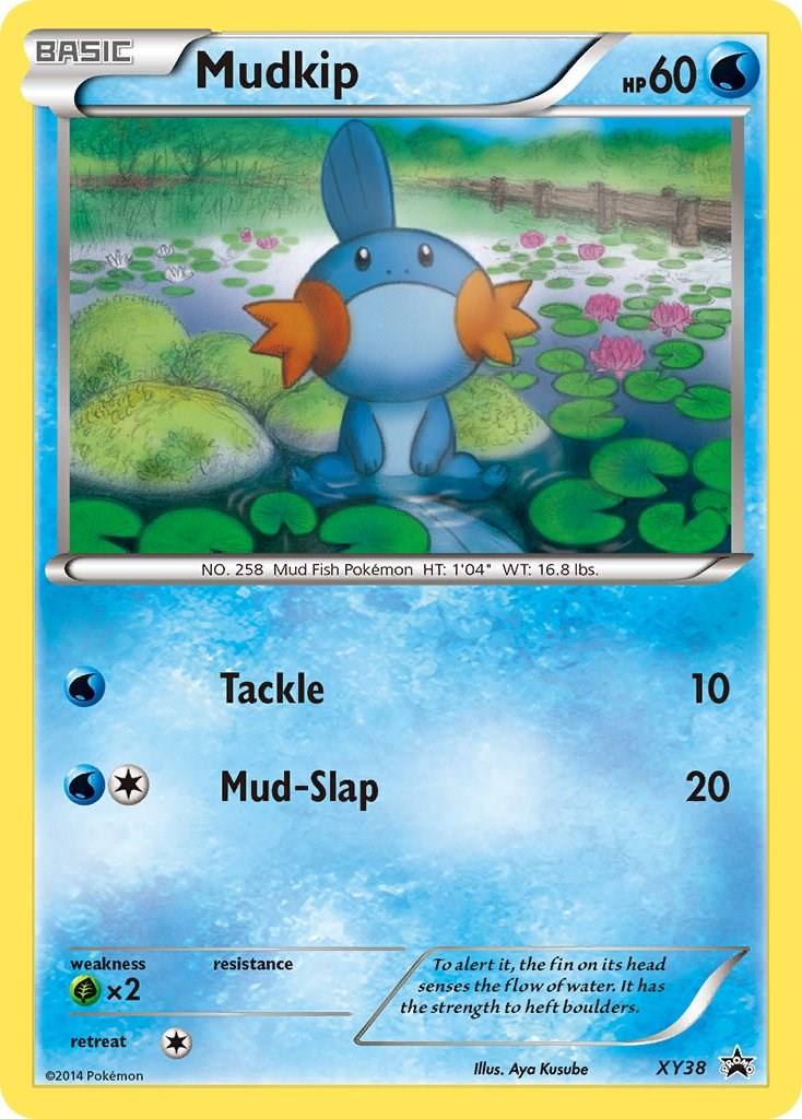 Mudkip [PR - 038]