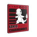Charmander Ultra Pro 9-pocket portfolio binder