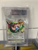 Rayquaza C lv.X